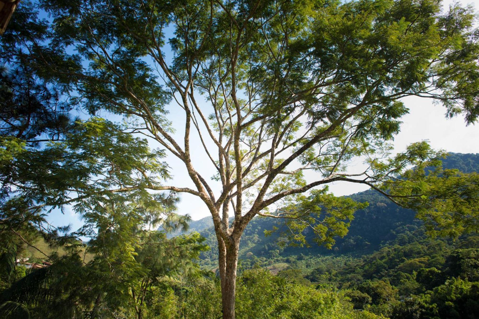 Pousada Cascata Casimiro de Abreu Ruang foto